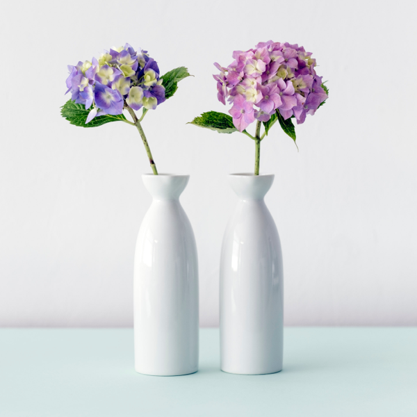 AC nasty product with HTML in custom fields