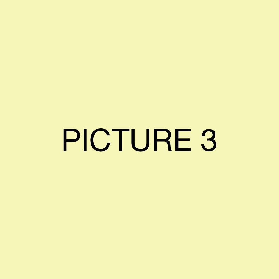 Antonio Image Sorting Test